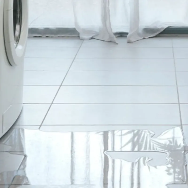 Appliance Leak Cleanup in Merryville, LA