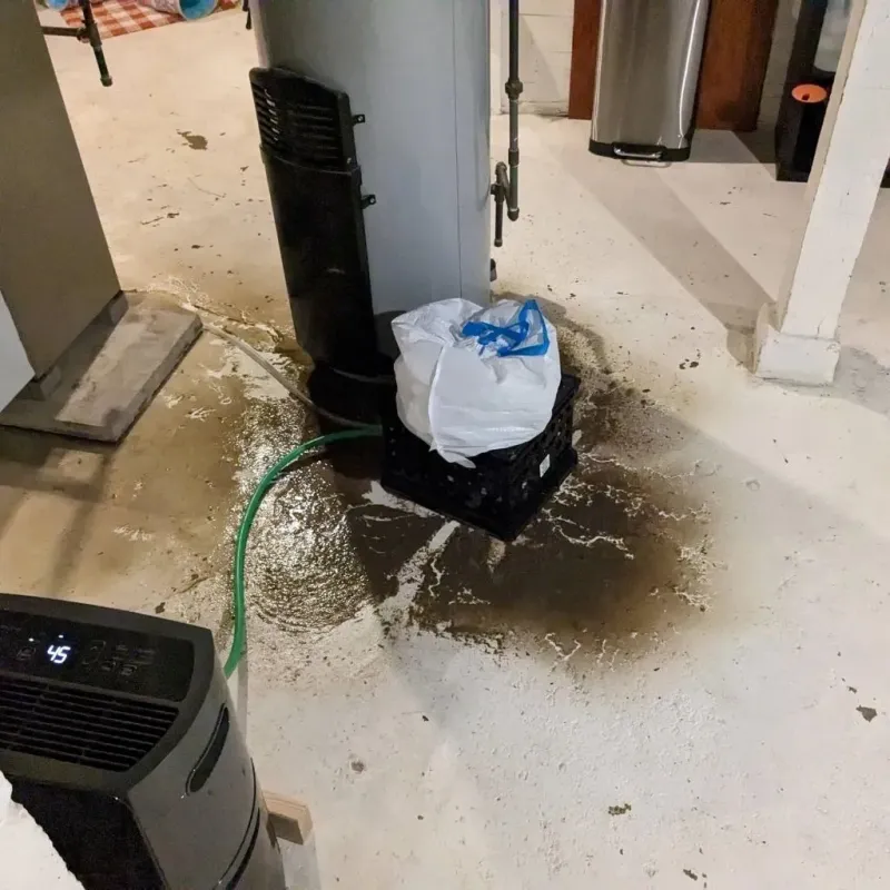 Sewage Backup Cleanup Service in Merryville, LA